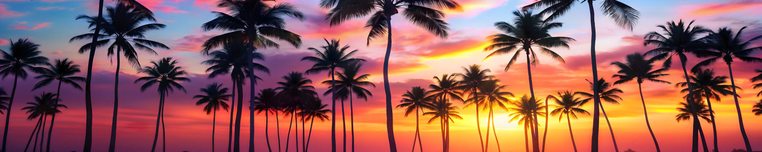 Küchenrückwand Tropischer Sonnenuntergang