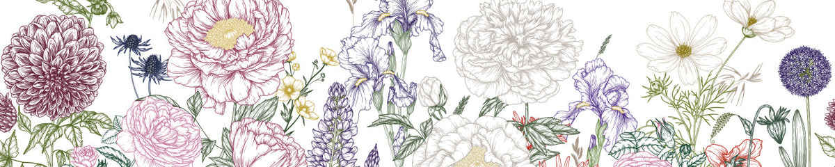 Küchenrückwand Botanische Blumenzeichnung