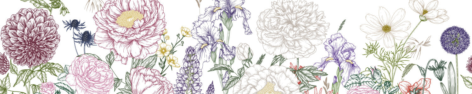 Küchenrückwand Botanische Blumenzeichnung