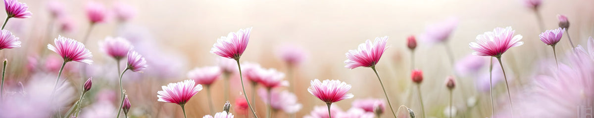 Küchenrückwand Frühlingsblumen