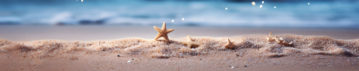 Küchenrückwand Seesterne am Strand