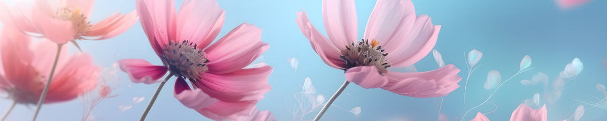 Küchenrückwand Rosa Blüten