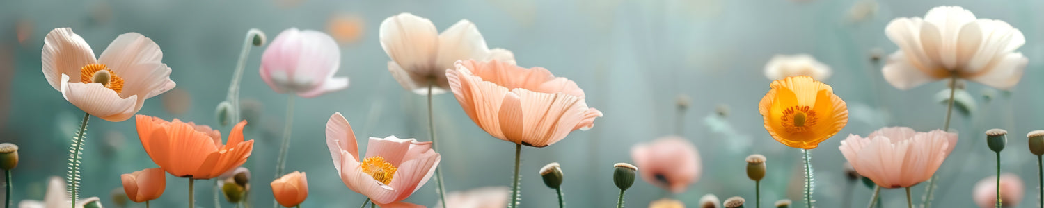 Küchenrückwand Pastell Mohnblumen