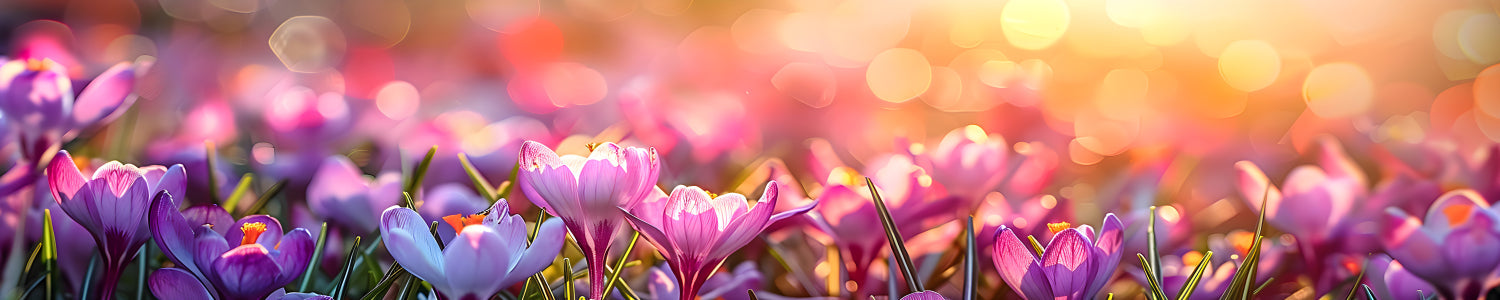 Küchenrückwand Frühlingsblumen