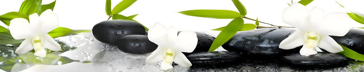 Küchenrückwand Zen mit Orchideen und Steinen