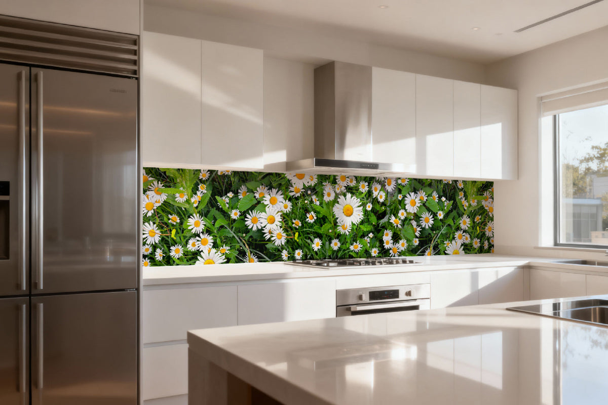Küchenrückwand Margeriten Wiese