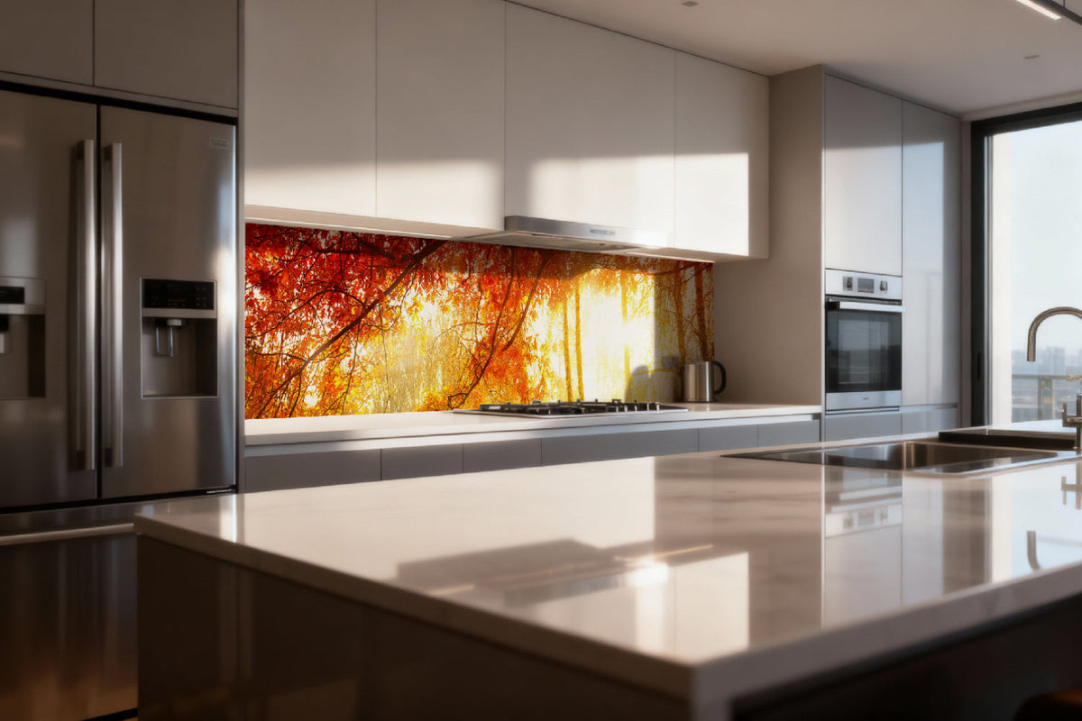 Küchenrückwand Herbstwald im Licht