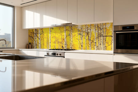 Küchenrückwand Herbstlicher Birkenwald