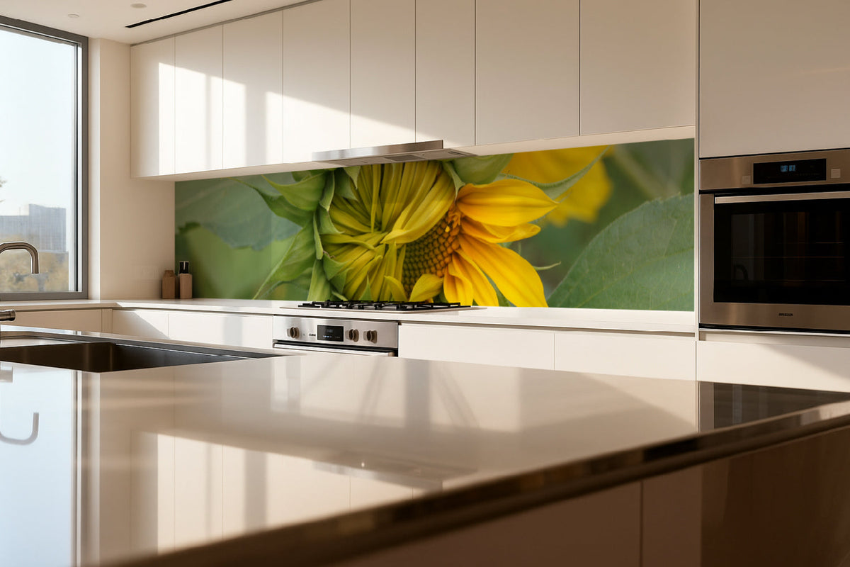Küchenrückwand Sonnenblume im Aufblühen