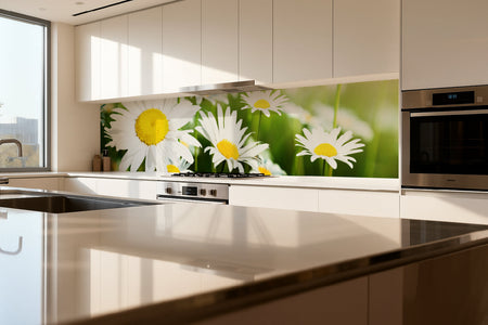 Küchenrückwand Margeritenblüten