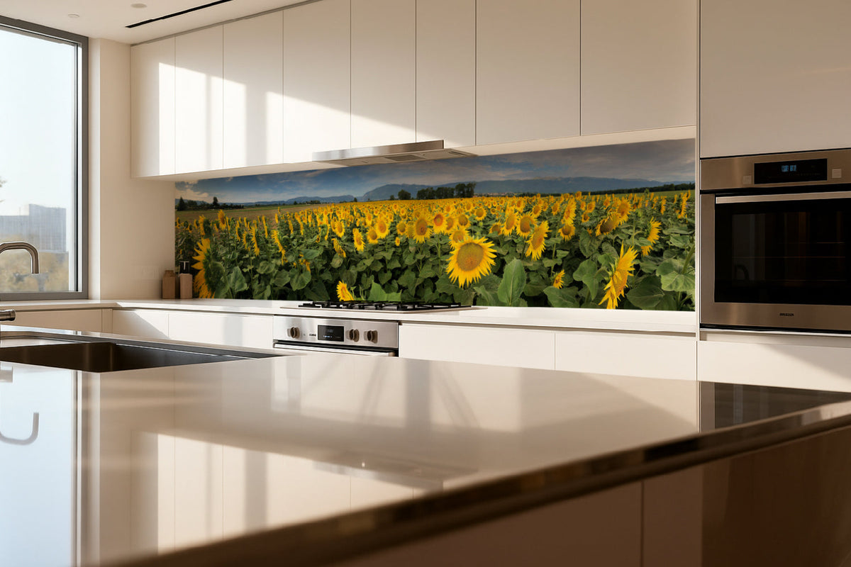 Küchenrückwand Sonnenblumenfeld Panorama
