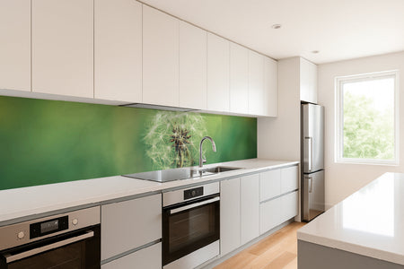 Küchenrückwand Pusteblume Makro