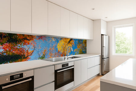 Küchenrückwand Bunte Herbstbäume
