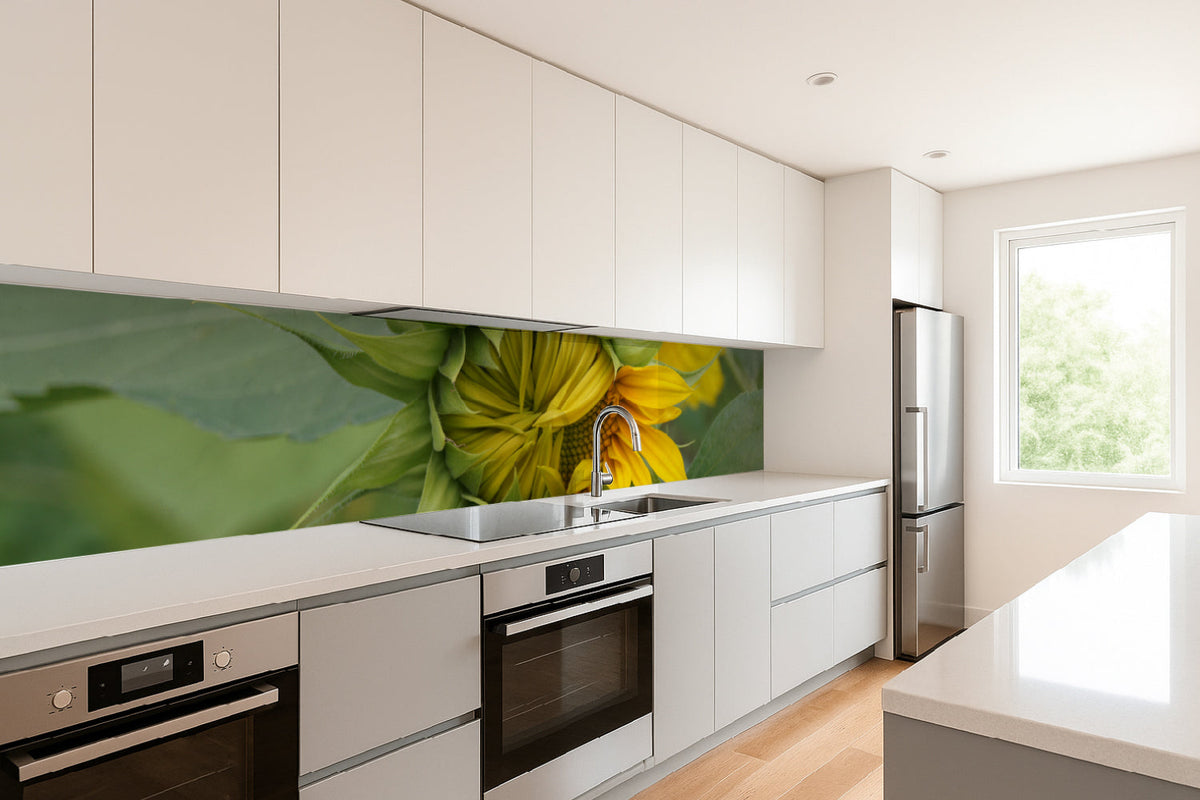 Küchenrückwand Sonnenblume im Aufblühen