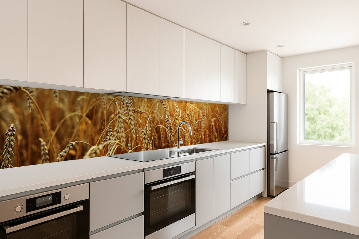Küchenrückwand Weizenfeld