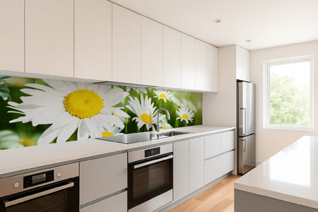 Küchenrückwand Margeritenblüten