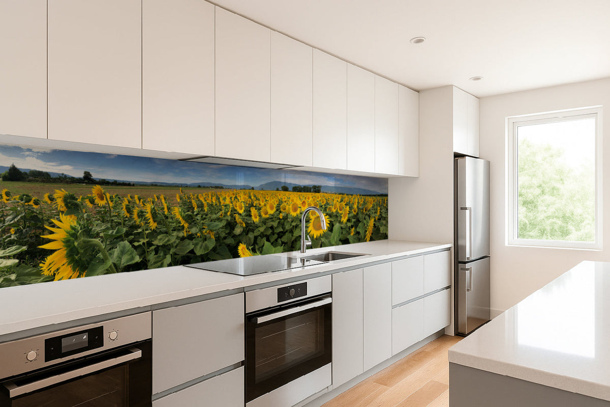 Küchenrückwand Sonnenblumenfeld Panorama