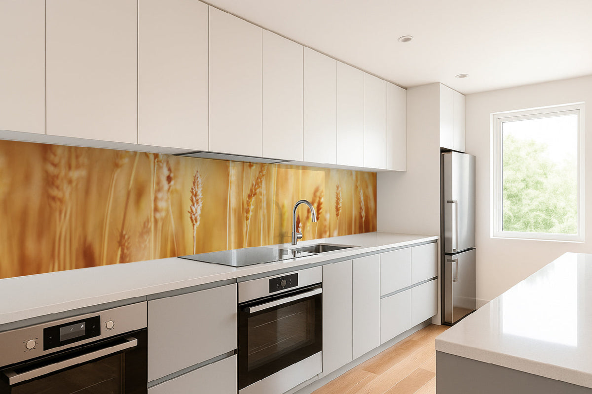 Küchenrückwand Weizenfeld