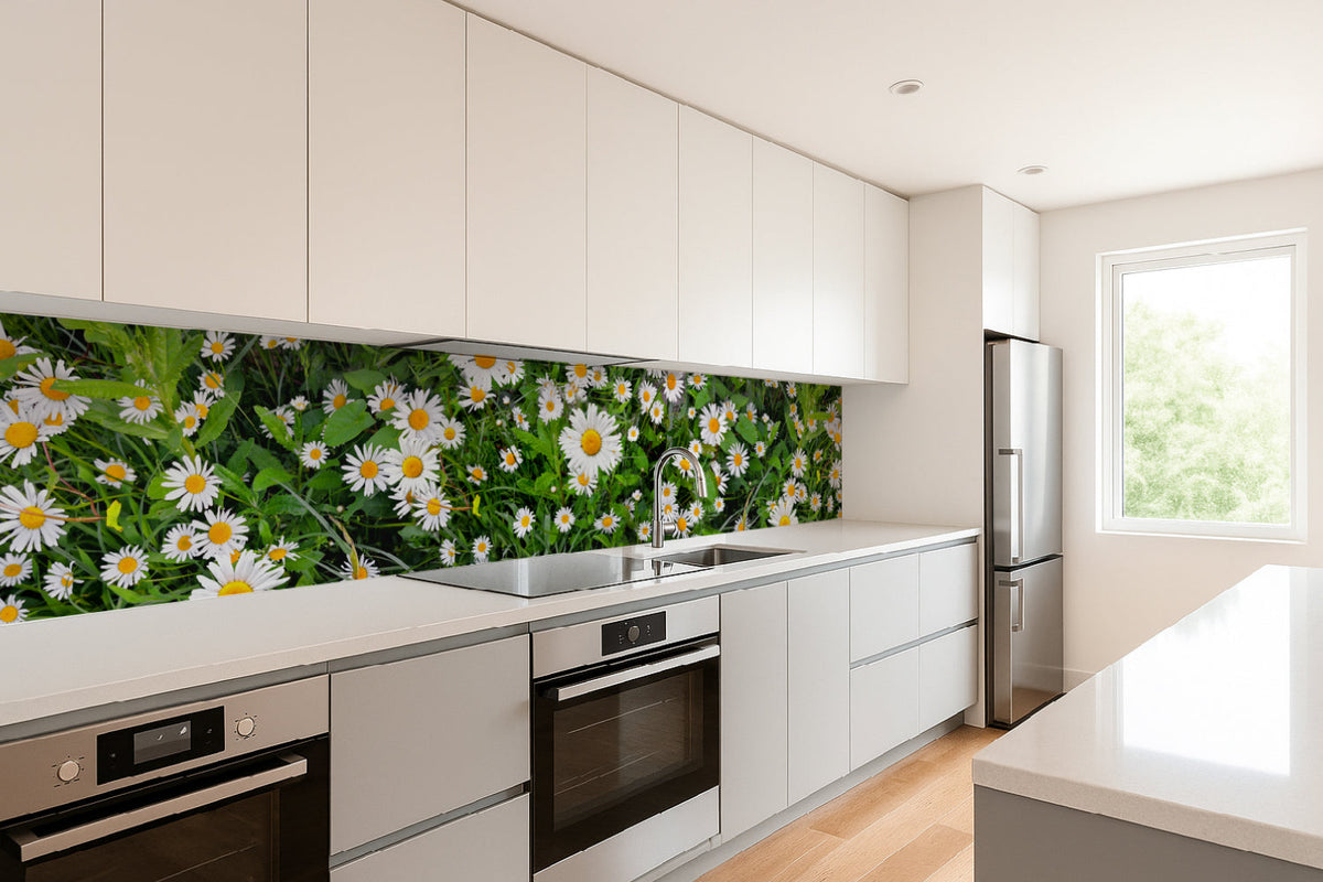 Küchenrückwand Margeriten Wiese