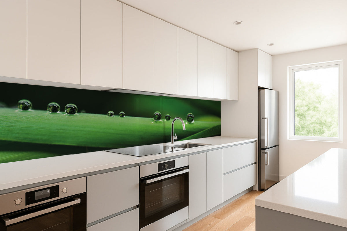 Küchenrückwand Grüne Blätter mit Tautropfen