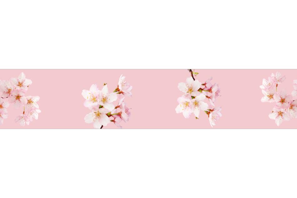 Spritzschutz Küche