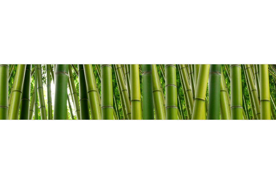 Spritzschutz Küche
