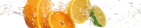 Spritzschutz Küche