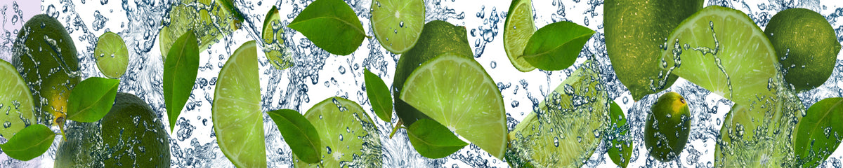 Spritzschutz Küche