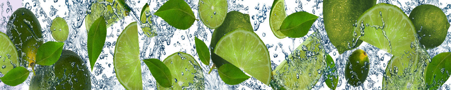 Spritzschutz Küche
