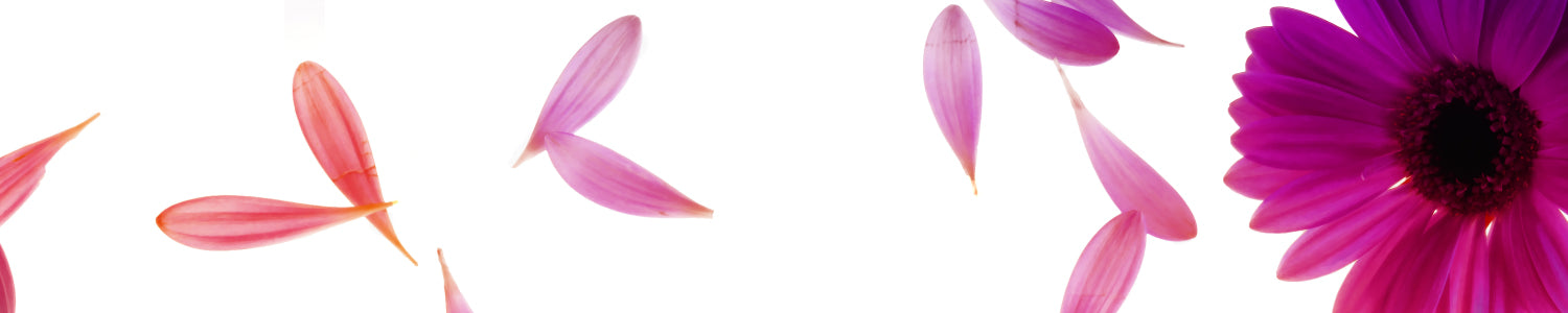 Spritzschutz Küche