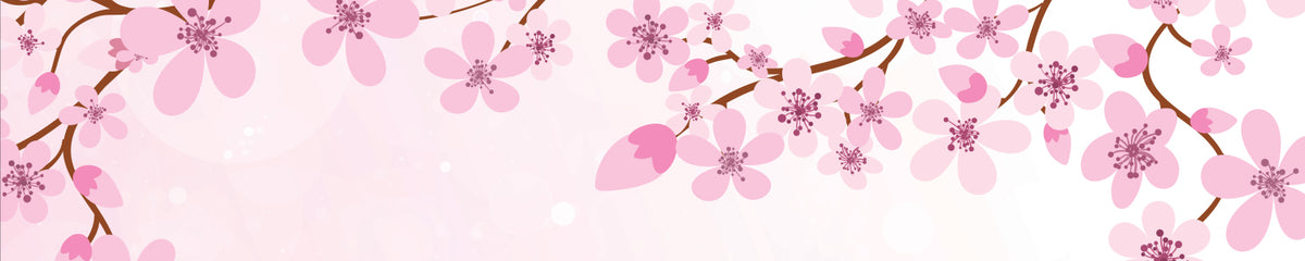 Spritzschutz Küche