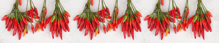 Spritzschutz Küche