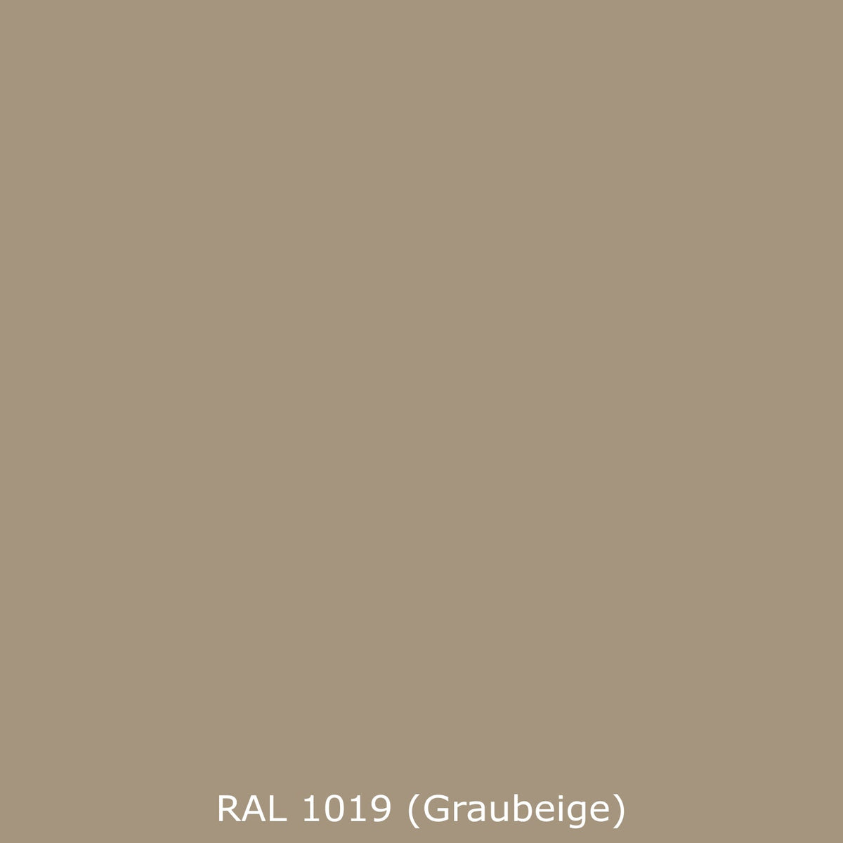 Waschbeckenrückwand Einfarbig RAL 1019 Graubeige