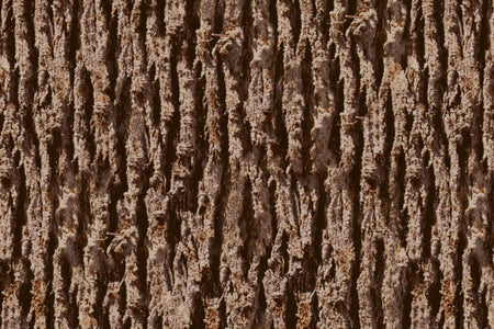 Waschbeckenrückwand Holzoptik