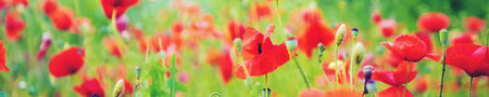 Waschbeckenrückwand